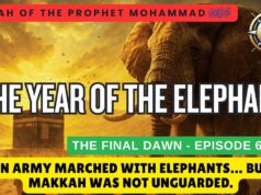 The Year of the Elephant. When Birds defeated the Mighty Army. Episode 6 of “The Final Dawn”